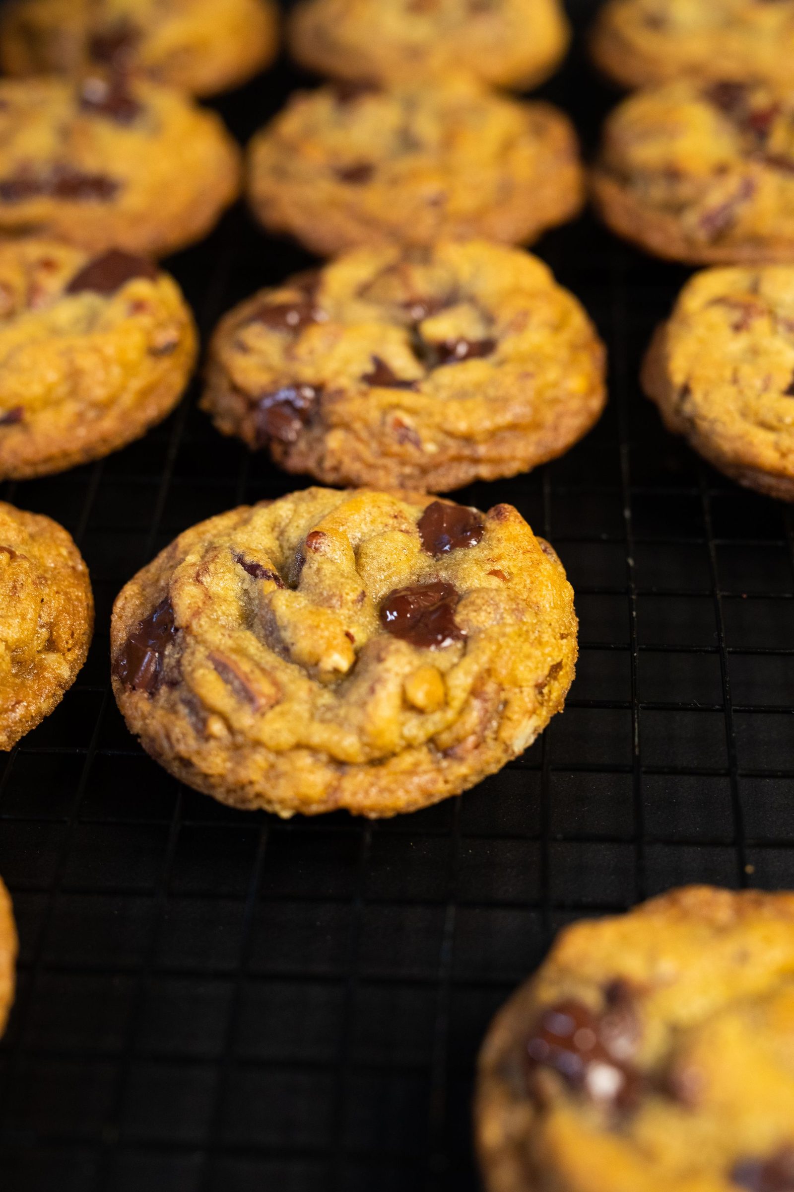 Chocolate chip cookies cooling on a wire rack, from a low angle
