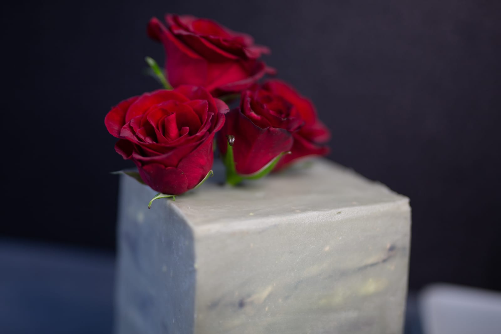 Close-up of the red roses on top of a decadent red velvet cake