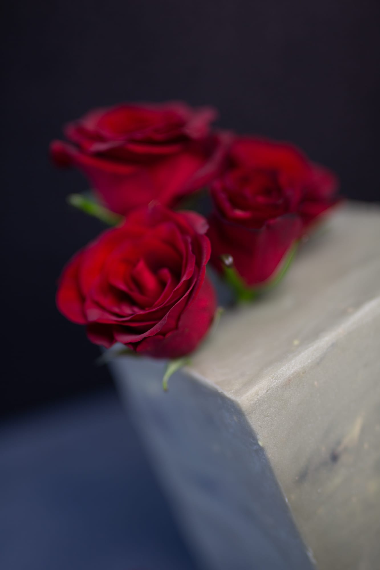 Close-up of a tall decadent red velvet cake with red roses on top, against a dark backdrop