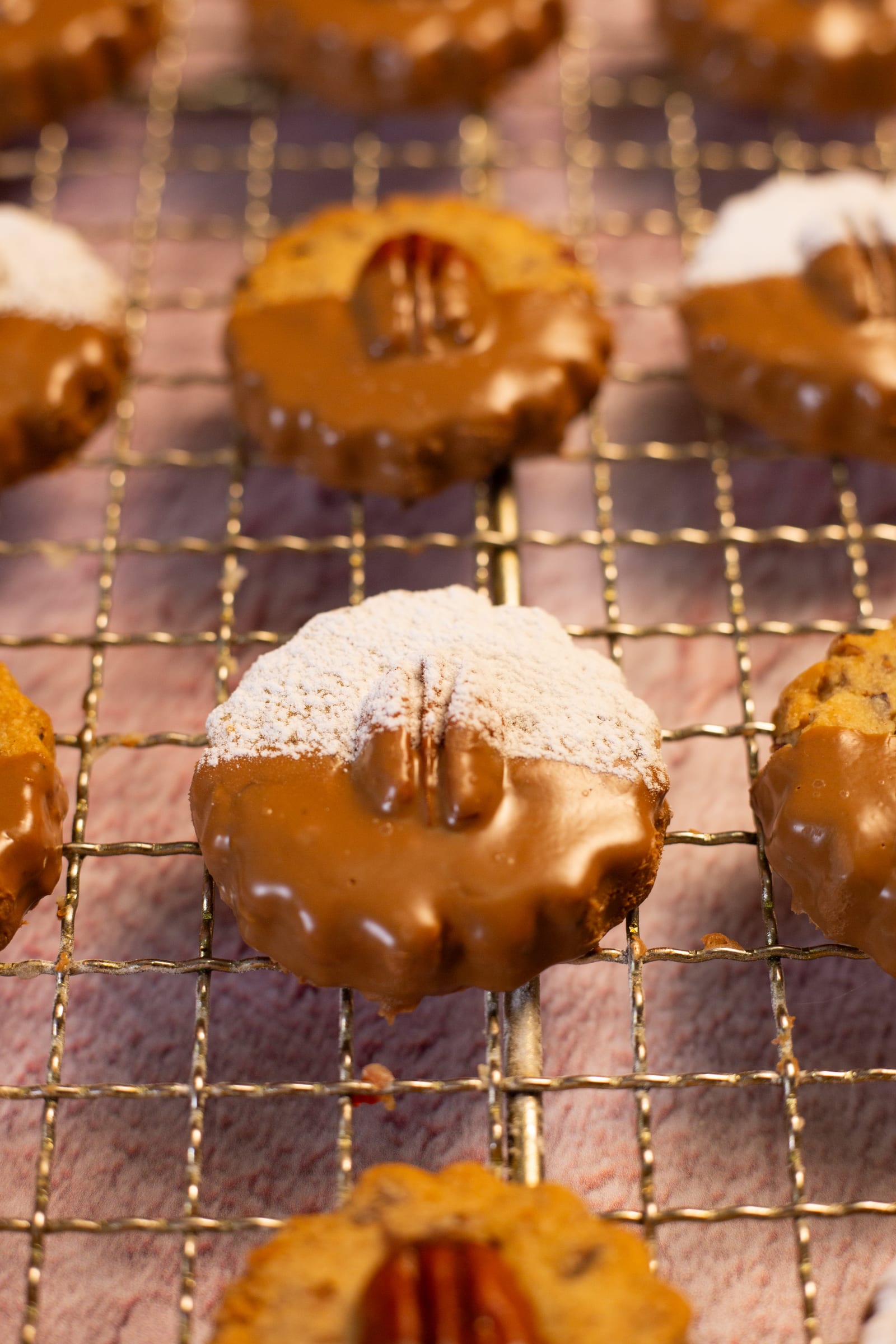 Close-up of a biscuit dipped in milk chocolate, with a pecan on top
