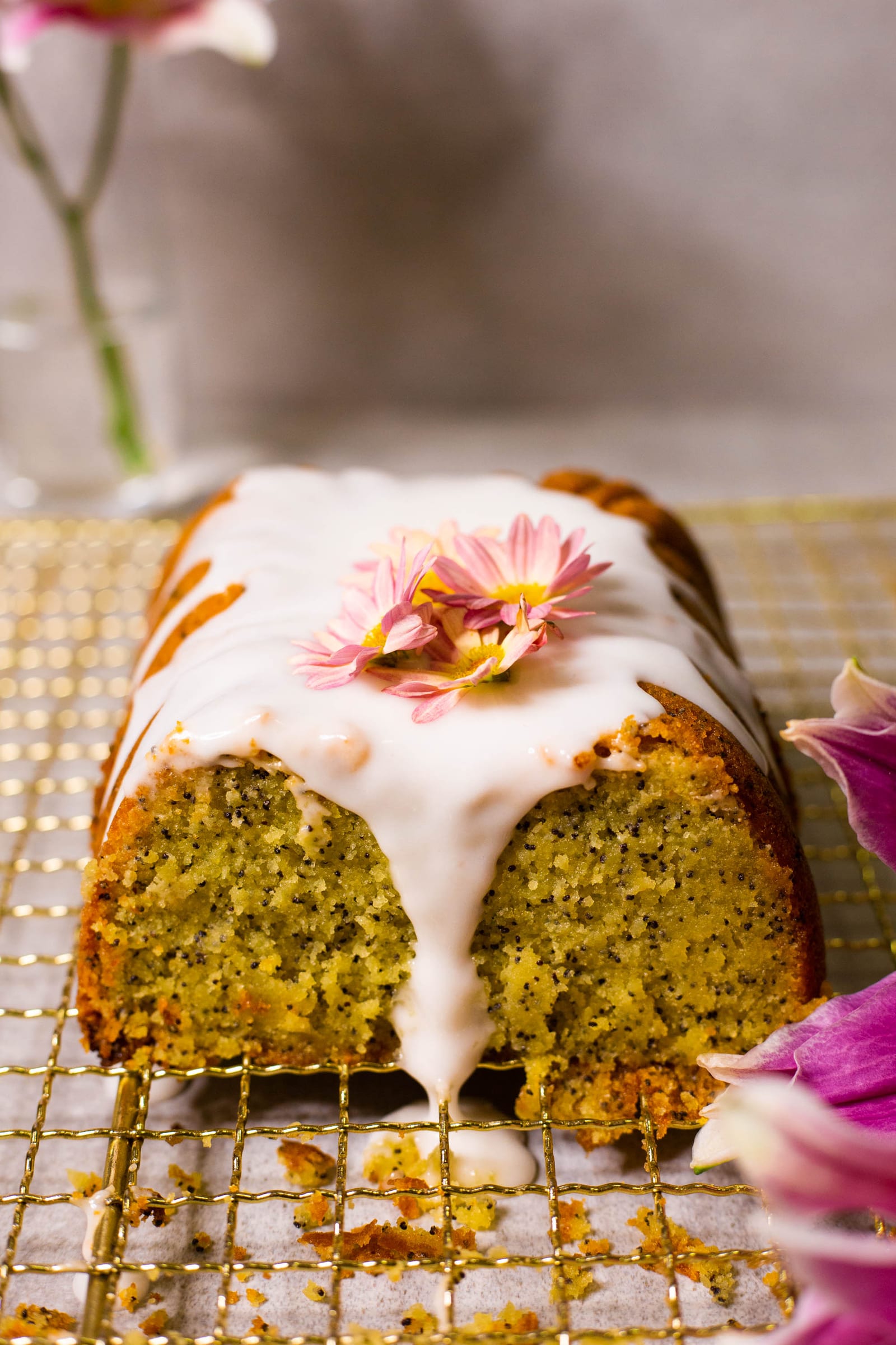 The cut face of a gluten-free lemon and poppyseed loaf, showing the poppyseed crumb