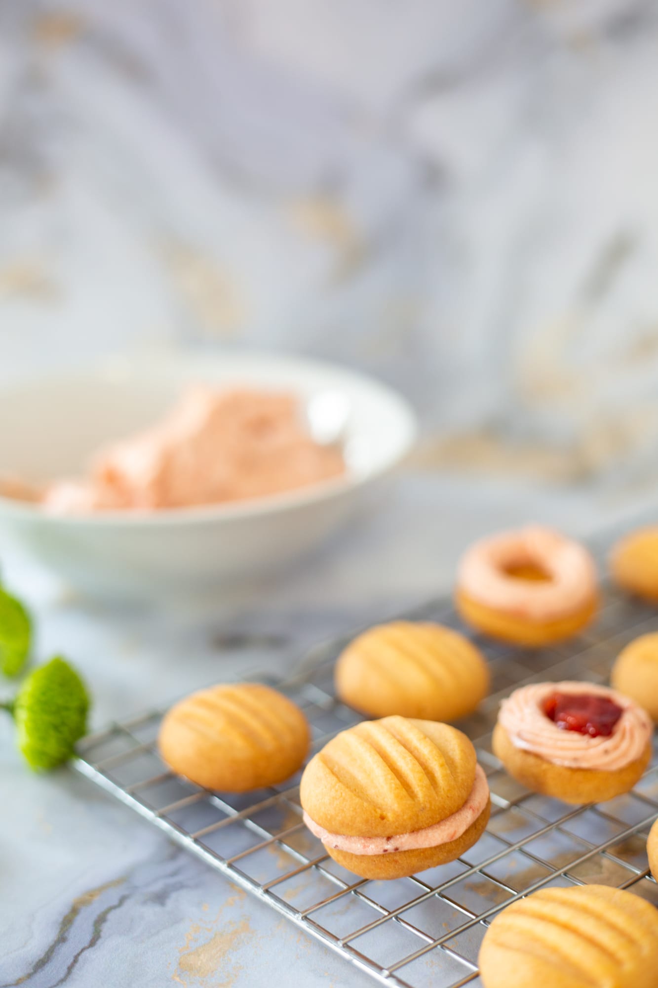 Sandwiched and ringed custard and jelly biscuits with jam centres
