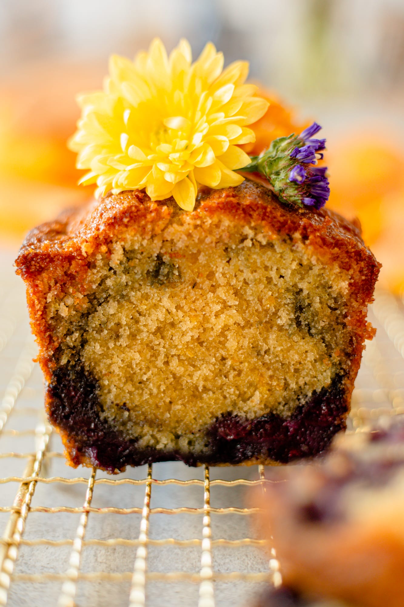 The cut end of a lemon and blueberry loaf showing its crumb and blueberries, a yellow flower on top